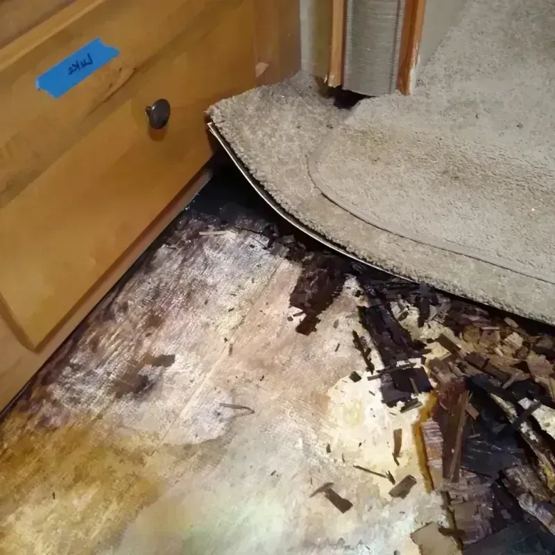 Wood Floor Water Damage in Red Bud, IL